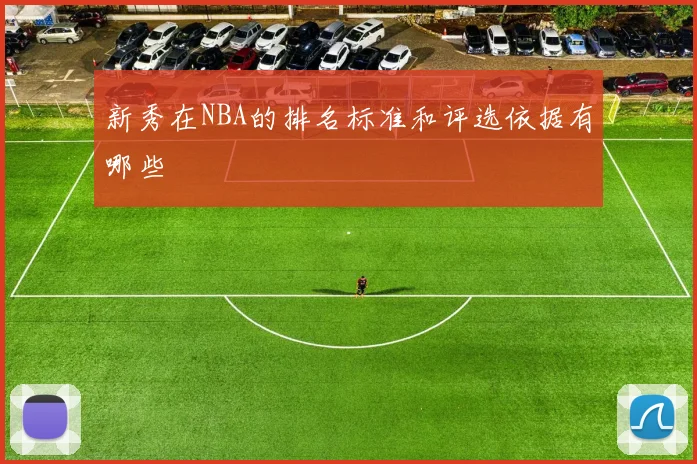 新秀在NBA的排名标准和评选依据有哪些