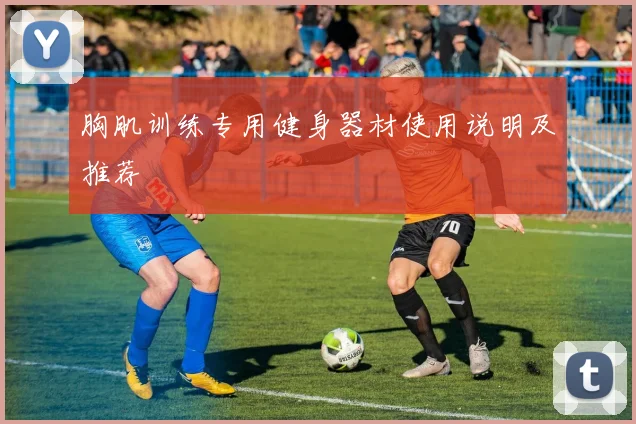 胸肌训练专用健身器材使用说明及推荐